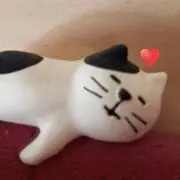 ふわりの画像