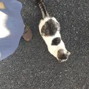 晴ちゃんの画像