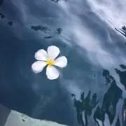 ☆の画像
