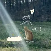 025817の画像