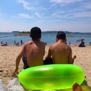 haluの画像