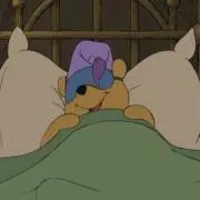 ぷーの画像