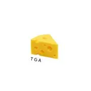 TGAの画像