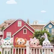 じゃっきーの画像