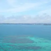 Dannyの画像