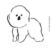 pipi＊の画像