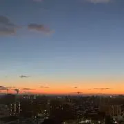 kokoの画像
