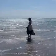 カワウソの画像