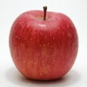 リョウタ