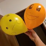サンちゃんの画像