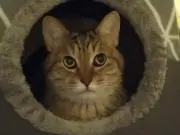 ゆみの画像