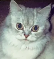 hiro1967の画像