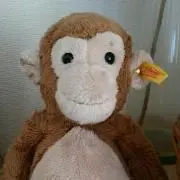 のんの画像