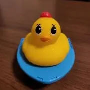 はなたん