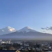 麦わら帽子の画像