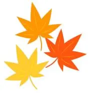 ꒰ა紅葉໒꒱