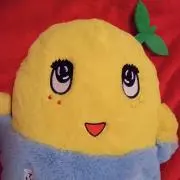 ノンの画像