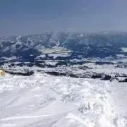 ちゃむの画像