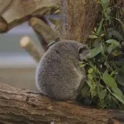 パスタの画像