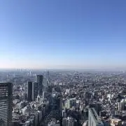 ヨッシーの画像