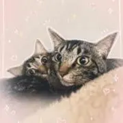 わーちゃんの画像