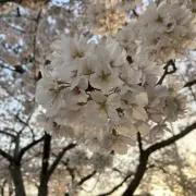 yuu1207の画像