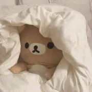Ayaの画像