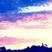 柊の画像