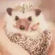 スヌピ　プロフ必見✨期間限定セール中✨