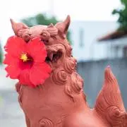 Gの画像