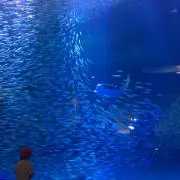 ベーグル☆の画像