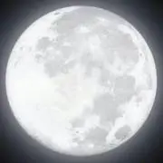 Image of ディアナ⭐︎プロフ必読