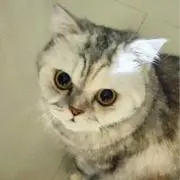 さば
