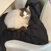 とむです。