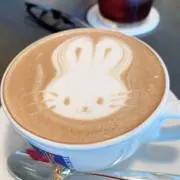 おもちまるの画像