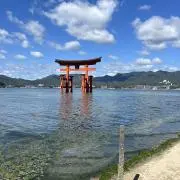 伊吹　即日発送の画像