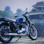 トラ&ブタの画像