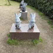 0255thの画像