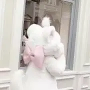 K【即購入可能‼️】の画像