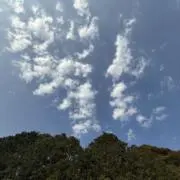 漢の画像