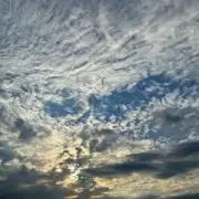 ダルマ