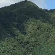 豆腐メンタルの画像