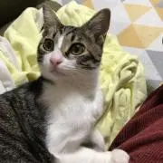 みーなんの画像