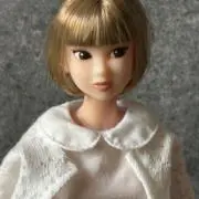 タカの画像