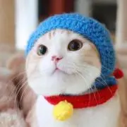 ゆうとん