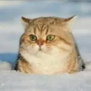 すな※プロフ必読