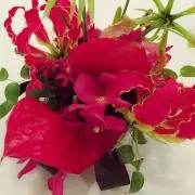 copa★♡複数購入でお値引きします❢❢の画像