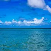知恵の画像