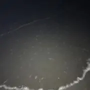 じじ