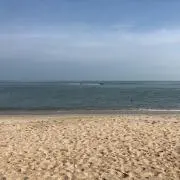 のこのこ